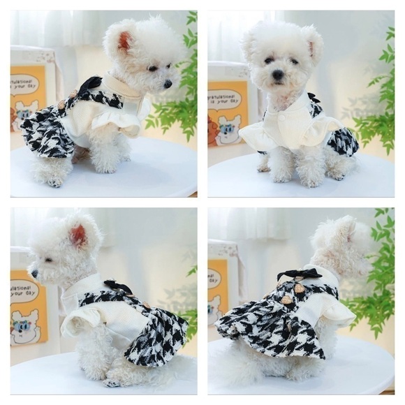 Dog Dress Black & Cream Jumper with Gold Buttons And Black Bow with Pearl - Picture 3 of 16